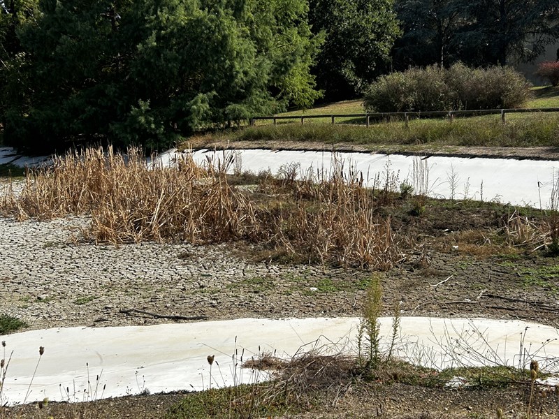 La situazione ad oggi del laghetto al Parco Pertini