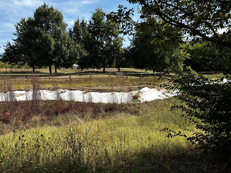 La situazione ad oggi del laghetto al Parco Pertini