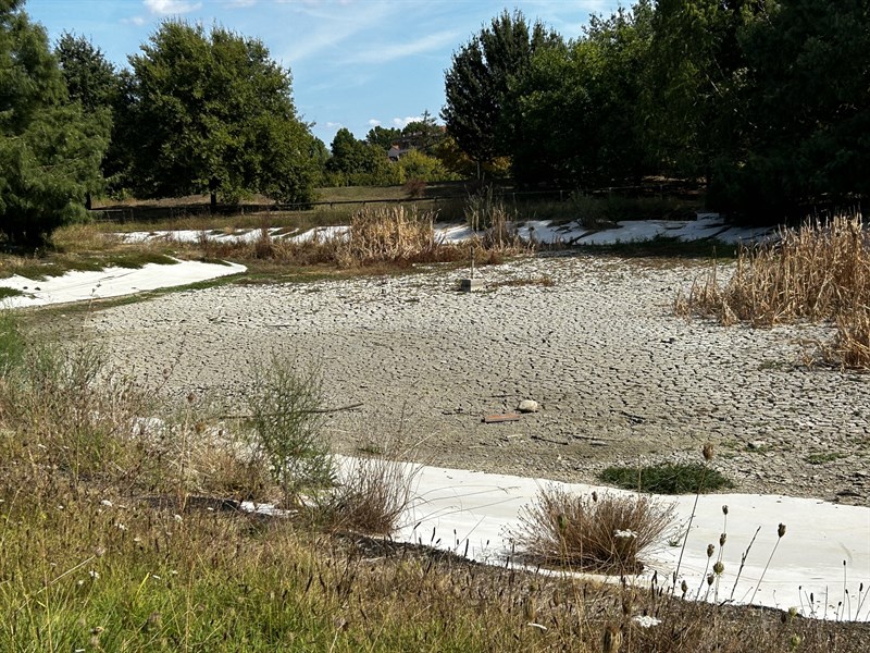 La situazione ad oggi del laghetto al Parco Pertini