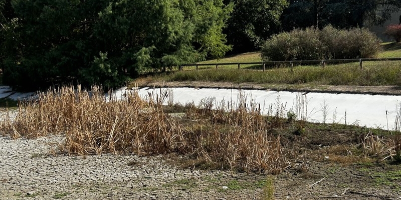 La situazione di oggi del laghetto del  Parco Pertini