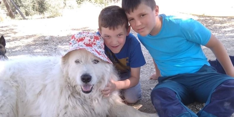 Scottex insieme ai suoi padroncini, i figli di Giannetti