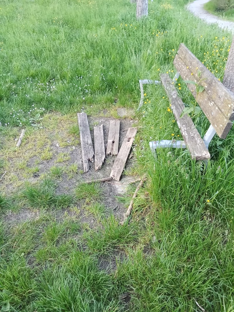 Alcune immagini allegate