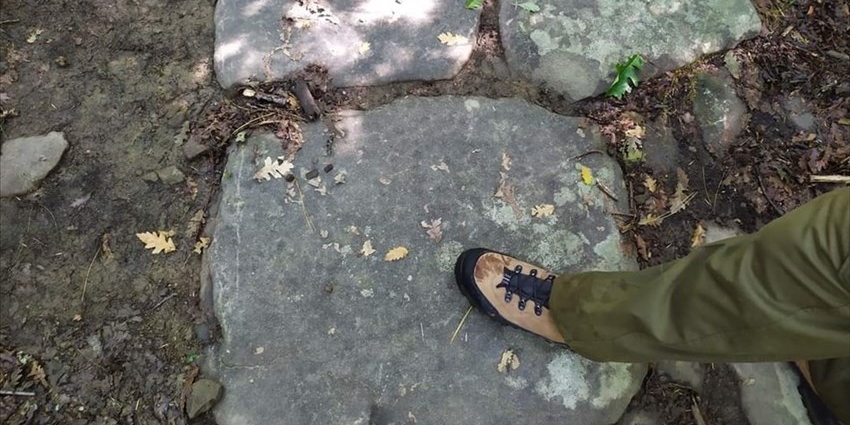 Festival della Montagna Fiorentina: cultura, natura e sapori al centro dell’estate 2025