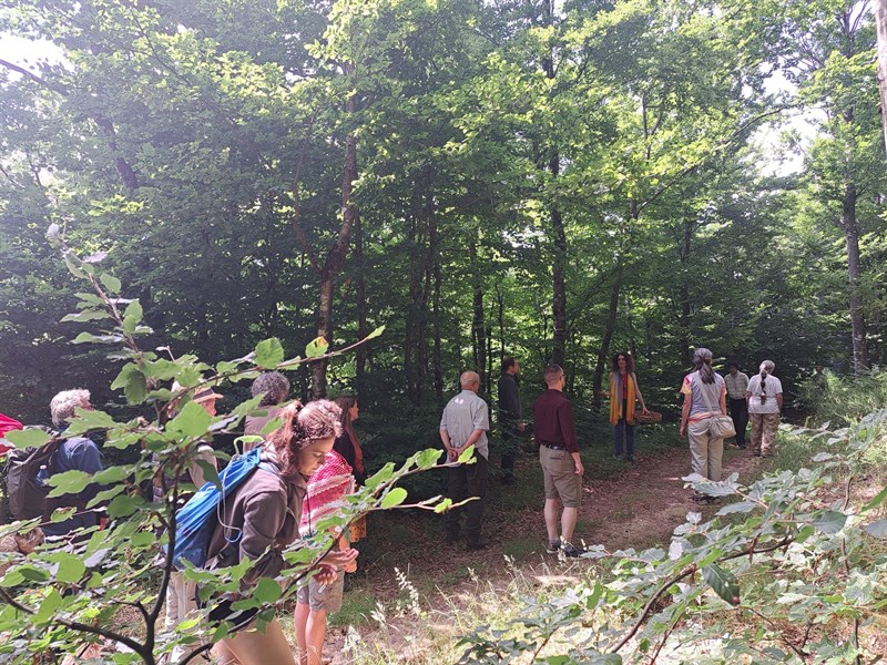 Solstizio d’estate sui crinali