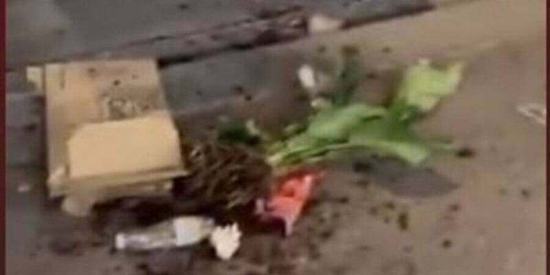 Un frame del video che testimonia la devastazione di domenica nel Viale dei Mille