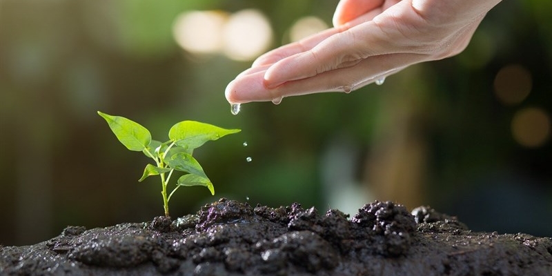 Giornata contro il consumo del suolo