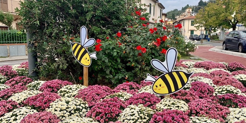 A Calenzano due rotatorie e un’aiuola con piante amiche delle api
