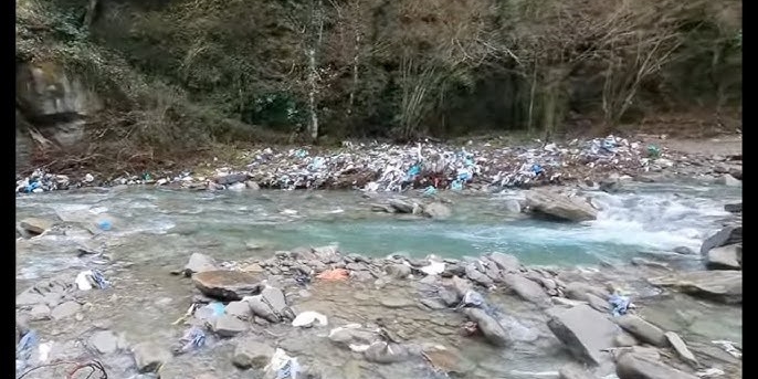 Cinghialai uniti per il Rovigo: “Questa è casa nostra, pronti a collaborare per la rinascita del territorio”