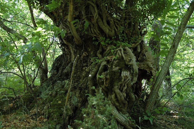 Workshop, foto trekking 2012