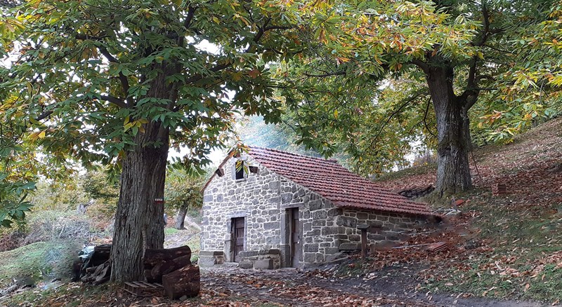 Seccatoio in Località Pescaia, 2019