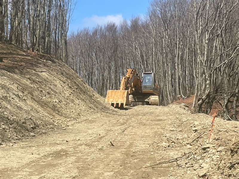 Il crinale devastato