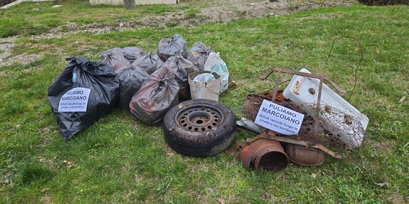 Un momento della raccolta