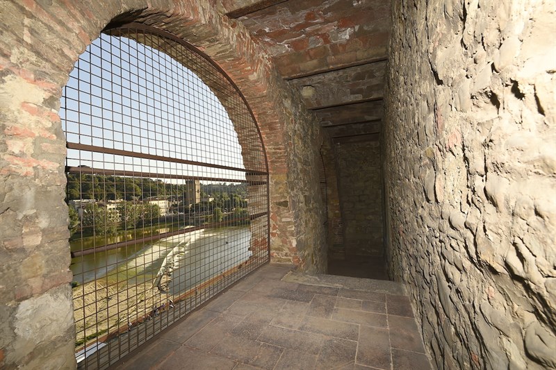 Visite Guidate MUS.E