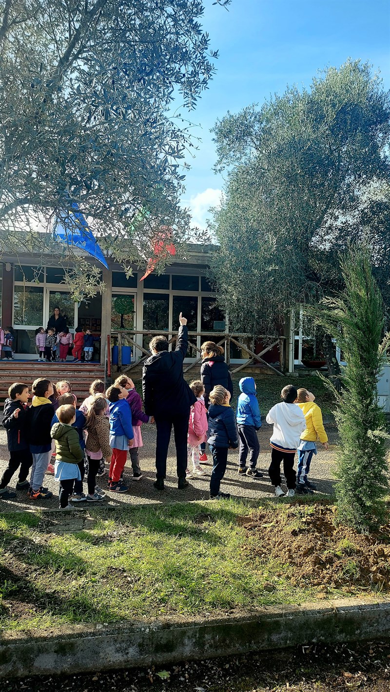 Festa alla scuola dell’infanzia di San Vito: piantati dodici nuovi alberi in occasione di Autumnia