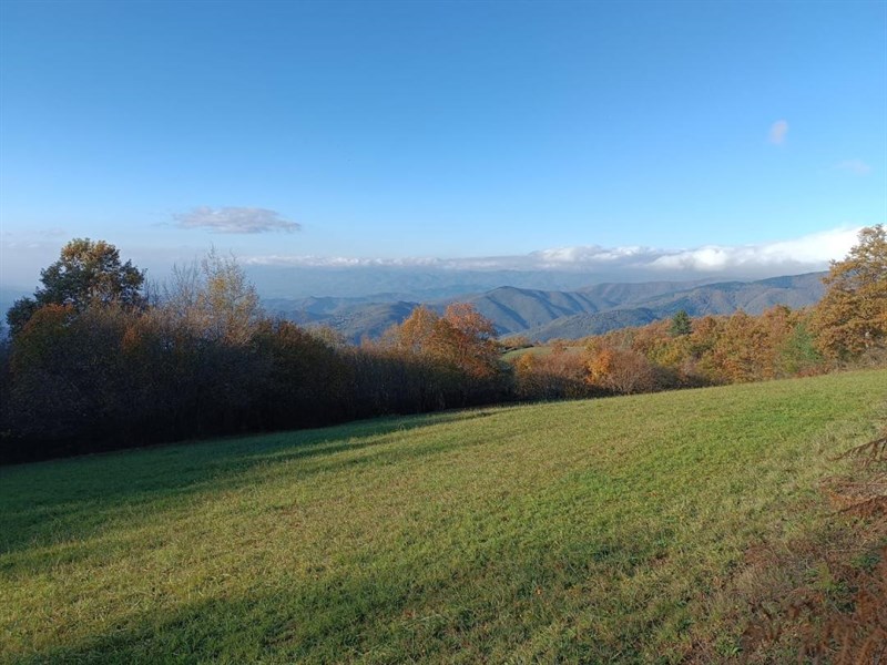 Foto Crinali da Croce a Mori