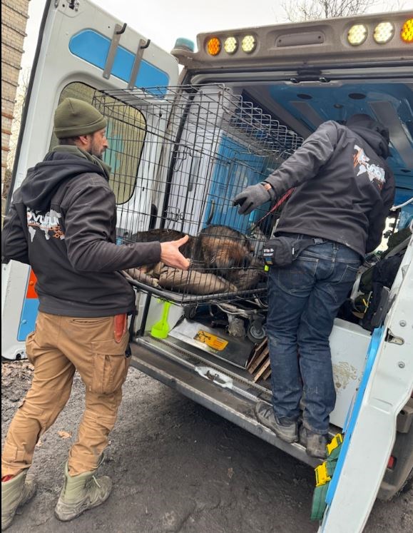 Missione Ovunque Ucraina