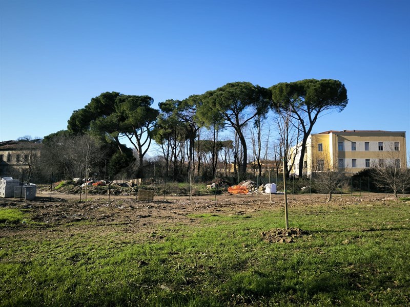 Il nuovo giardino del Mezzetta