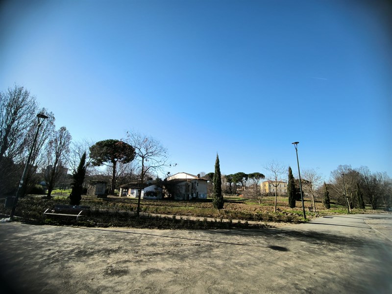 Il nuovo giardino del Mezzetta