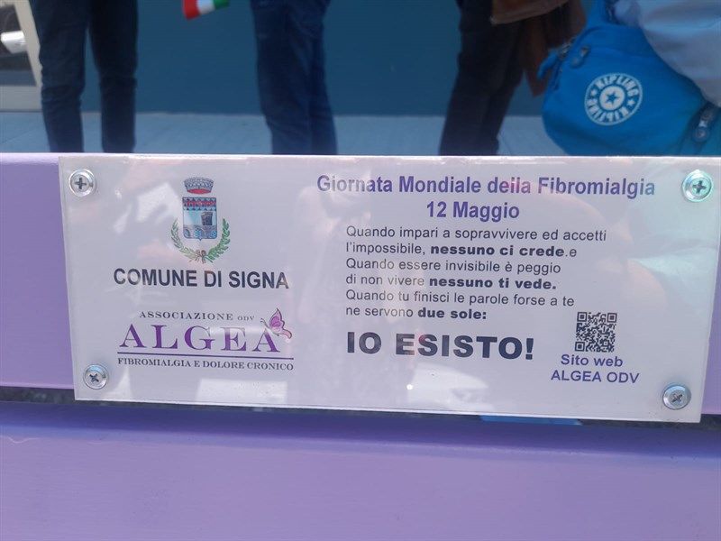 svelata la panchina viola a Signa