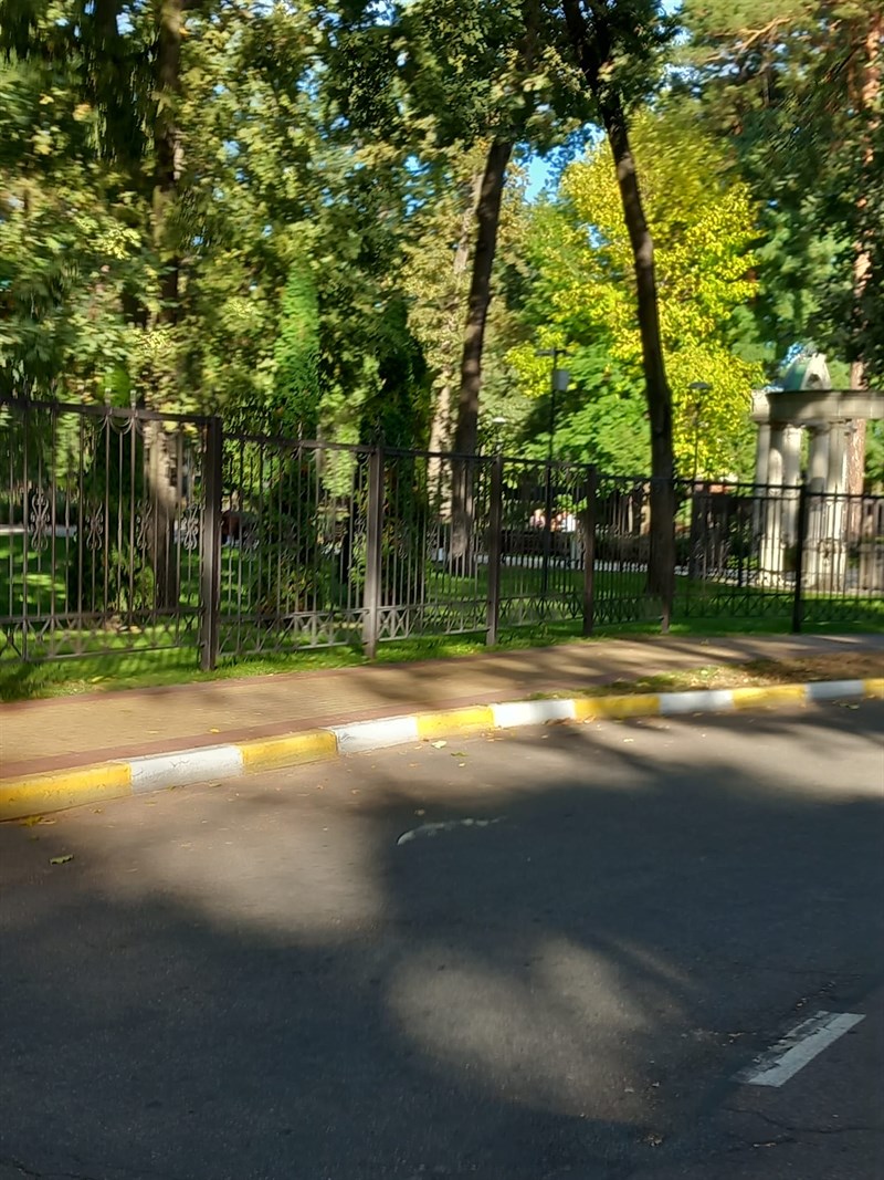 Irpin e Bucha sono immerse nel bosco. Non c'è abitazione che non abbia a due minuti di distanza un parco o un bosco ben curato.