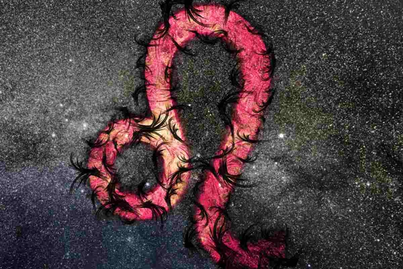 il Leone, che vivrà il suo anno smeraldo - okmugello.it