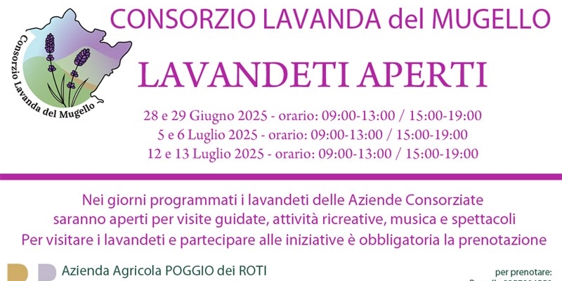 Un taglio della locandina