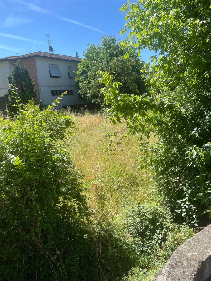 La fitta vegetazione nel punto segnalato dalla lettrice