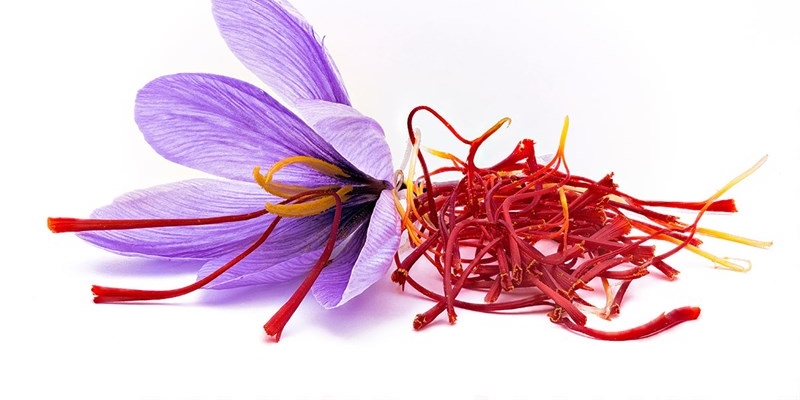 Scopri i segreti dello Zafferano con I Quadrelli 