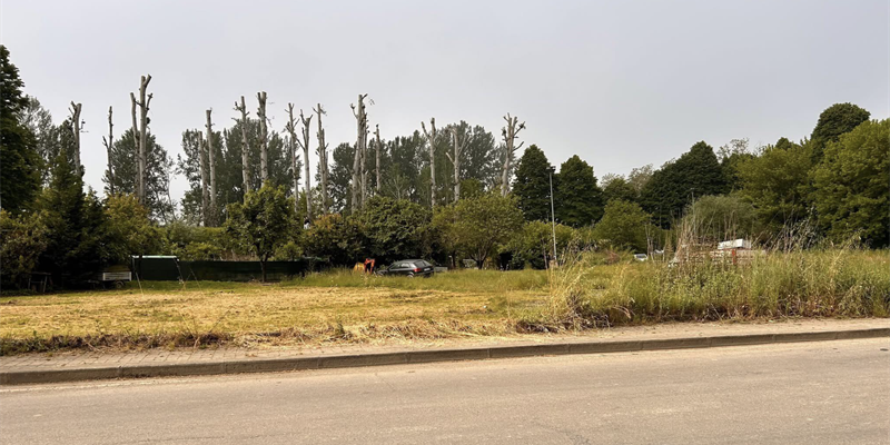 Il terreno adiacente al Foro Boario