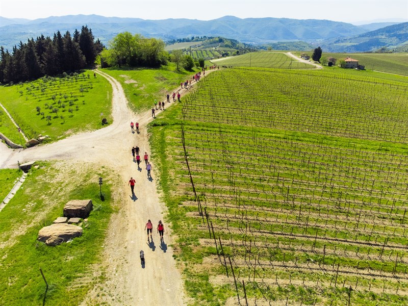 Nipozzano in Rosa, grande successo della raccolta fondi in Valdisieve, un trekking per la Lotta contro il cancro di I sentieri di Arianna