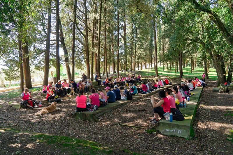 Nipozzano in Rosa, grande successo della raccolta fondi in Valdisieve, un trekking per la Lotta contro il cancro di I sentieri di Arianna