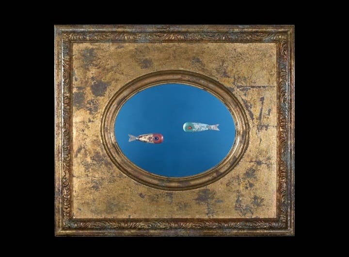 L’opera: “non sono squali in questo mare” 