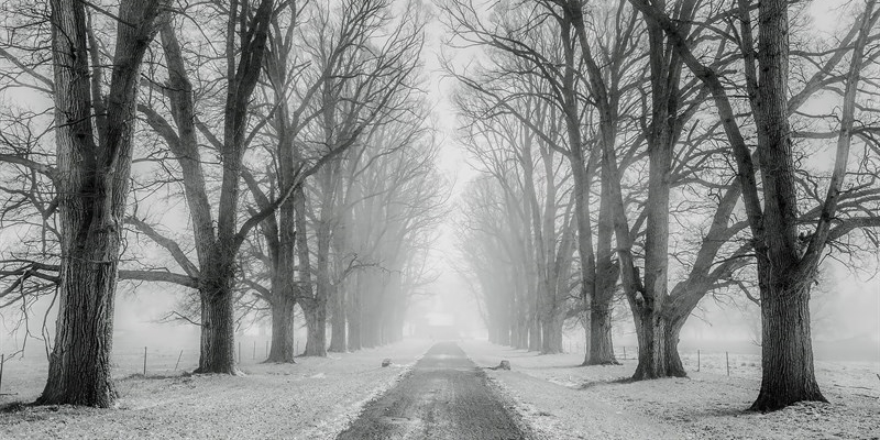 Allerta meteo con possibilità di nevicate