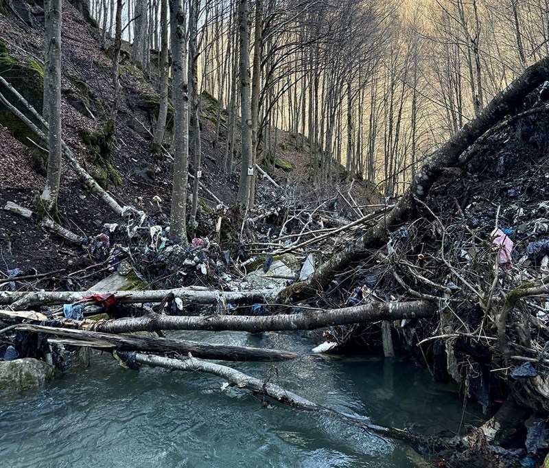 rifiuti nella valle del rovigo