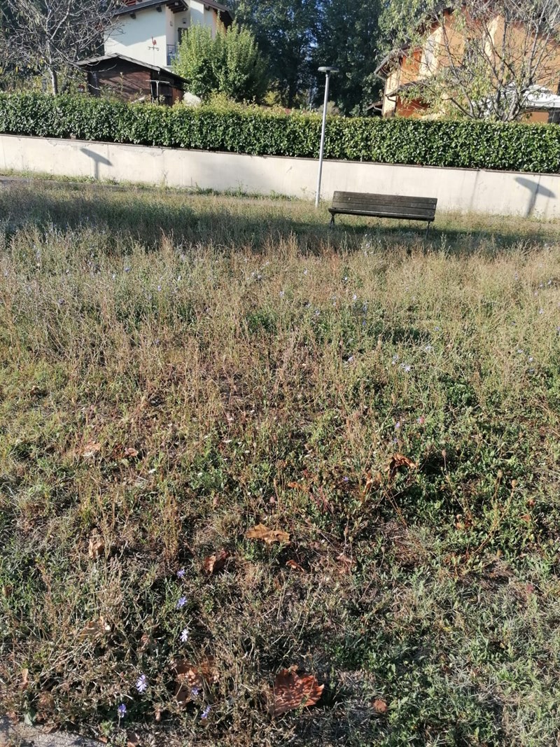 La situazione del giardino in zona Via Mons. Viagiani a Borgo San Lorenzo