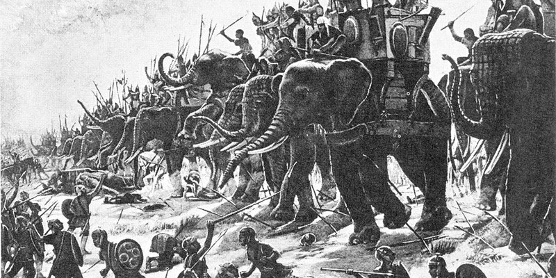 2020 a.C., l'attacco degli elefanti nella battaglia di Zama