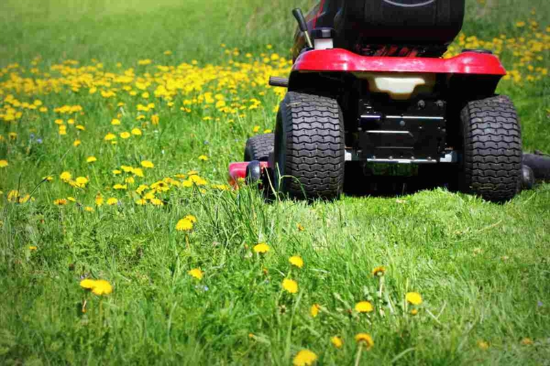 Il taglio dell’erba a novembre come arma contro le infestanti - okmugello.it