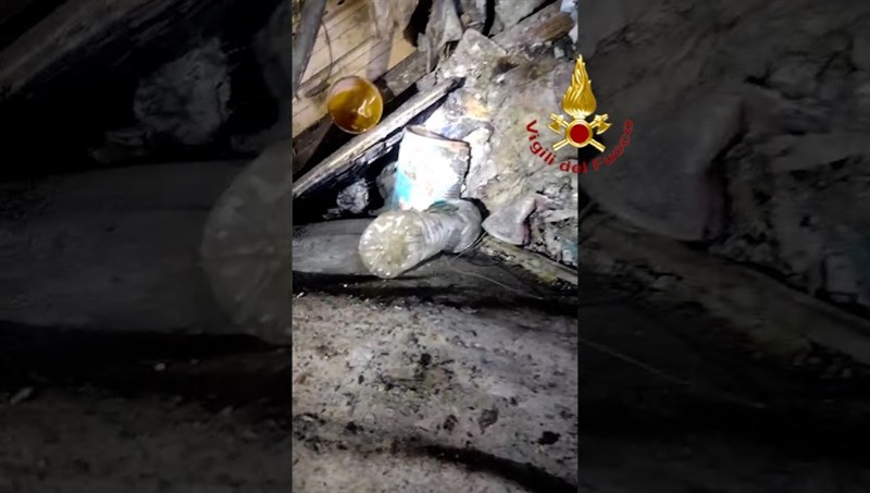 Il salvataggio del gattino