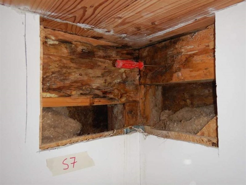 Foto realizzati alle travi portanti del Centro Aquilone dai tecnici del Comune lo scorso anno