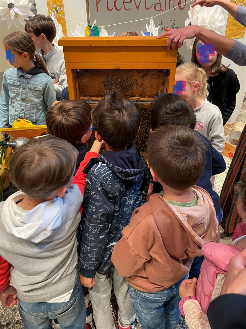 La giornata delle api