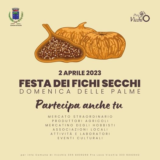 Vicchio: In corso i preparativi per la "Festa dei fichi secchi" e per tante novità.
