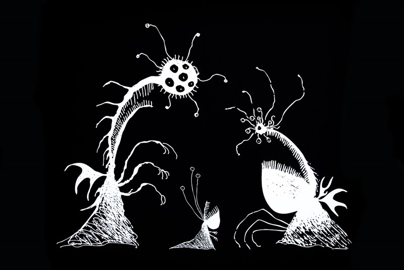 Una foto della mostra