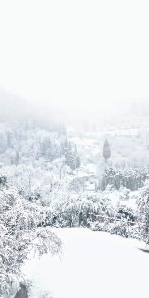 Colline di Pelago innevate