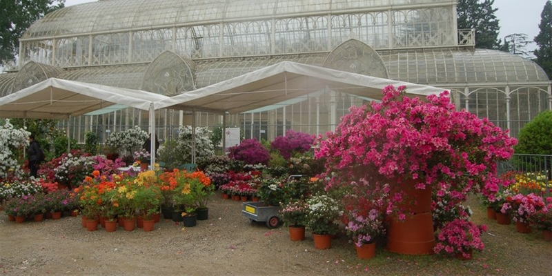 Mostra mercato di piante e fiori