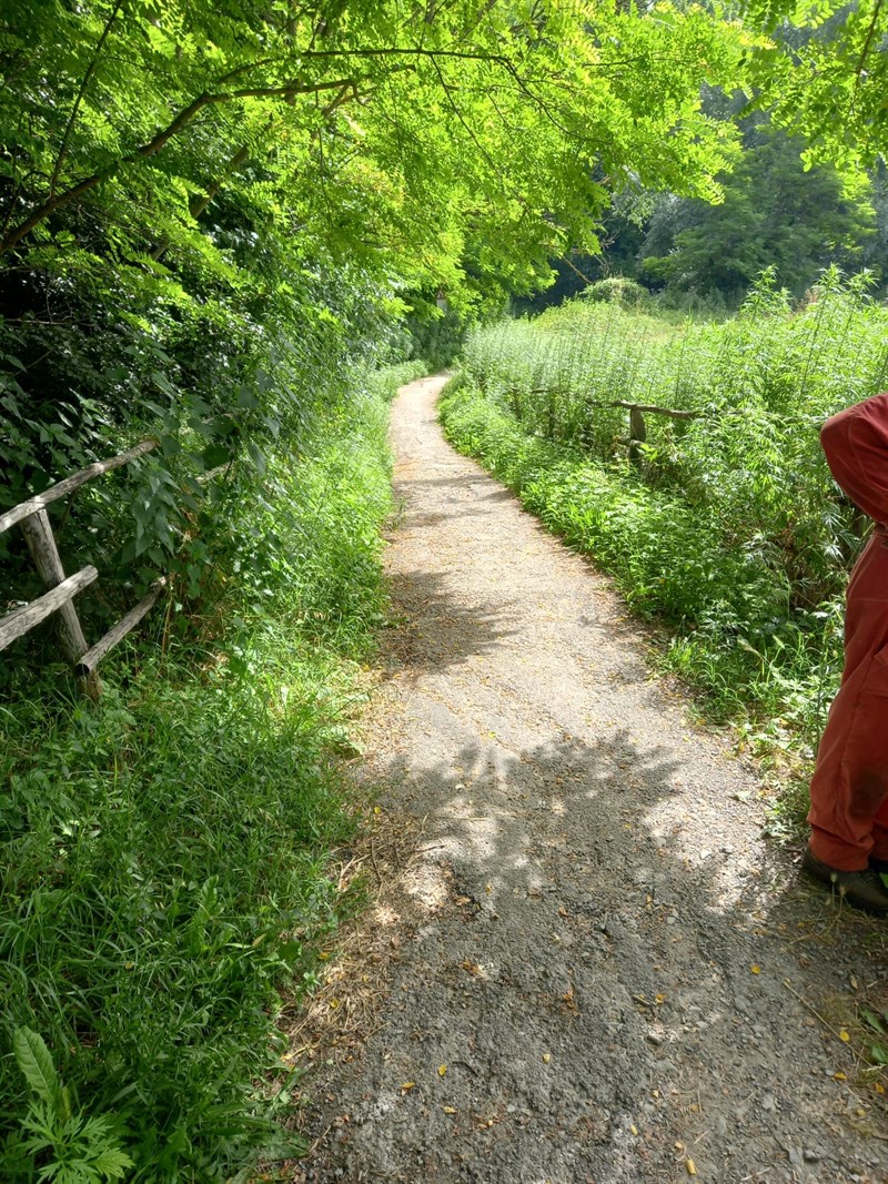 Lavori sulla pista ciclabile di Vicchio