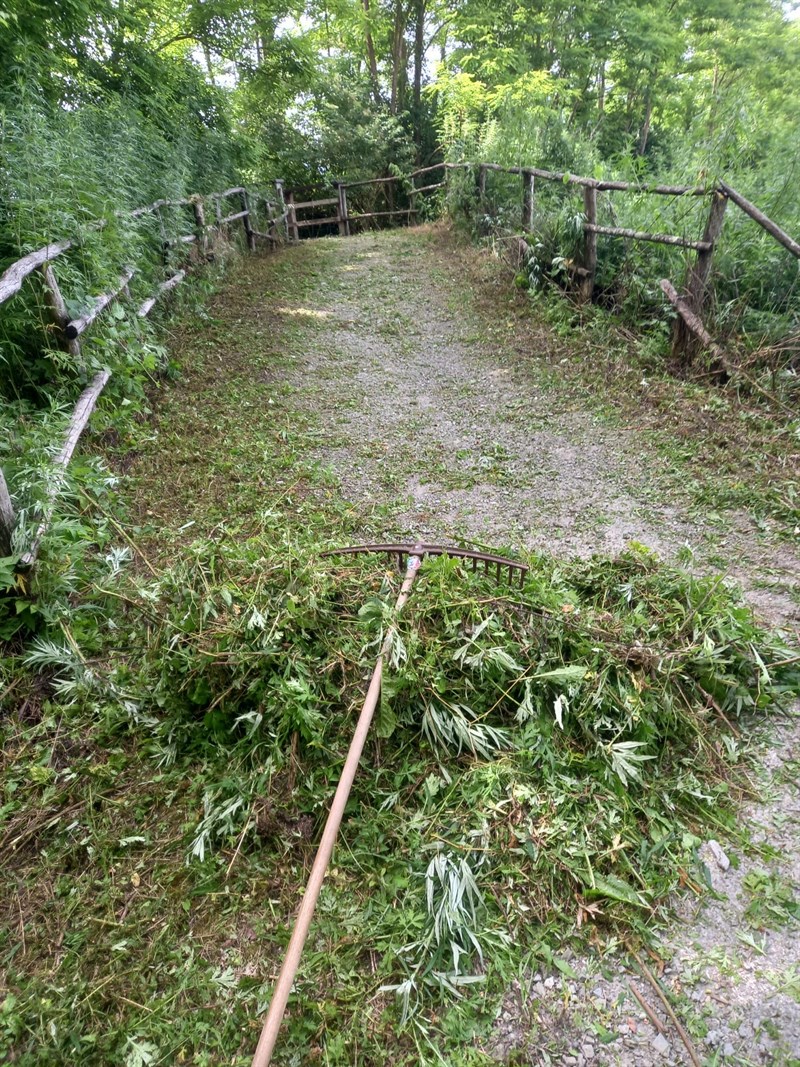 Lavori sulla pista ciclabile di Vicchio