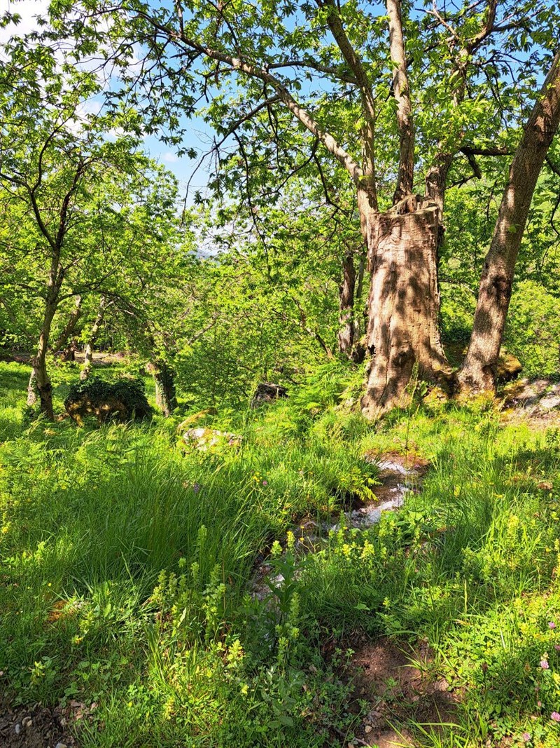 natura che perderemo