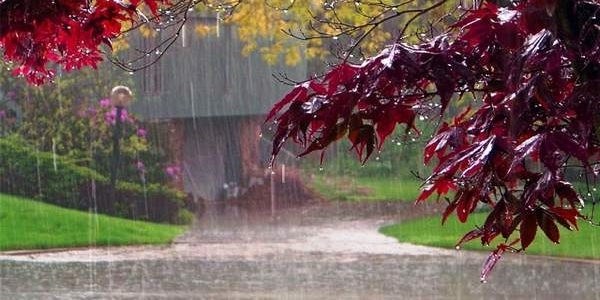 Un anno di anomalie meteo