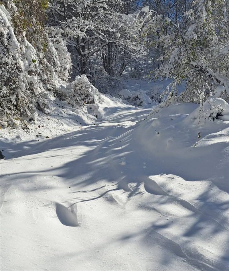 Paesaggio innevato della camminata