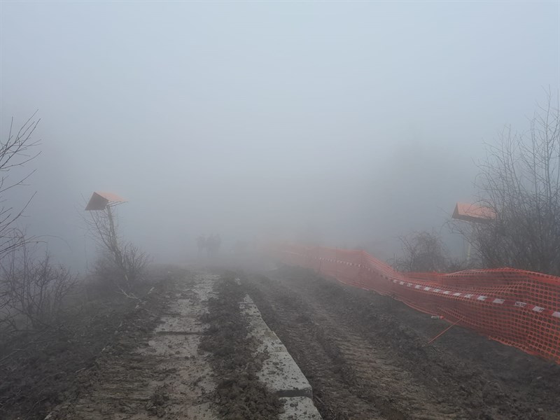 Alcune immagini raccolte dalla coalizione Tesss